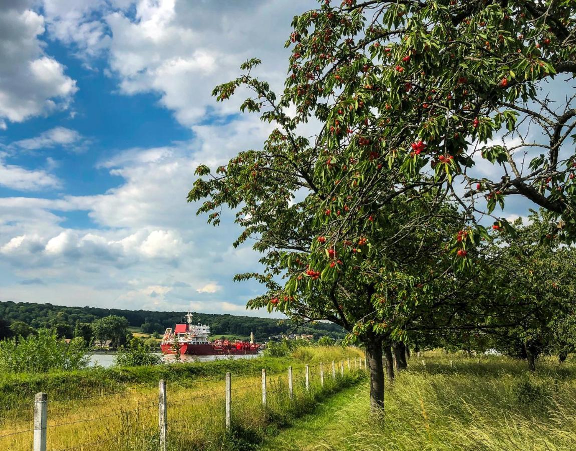 Maison Normande Au Bord De Seine, Le Verger De Pacome Anneville-Ambourville Exteriér fotografie